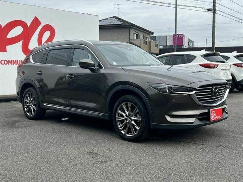 CX-8-13