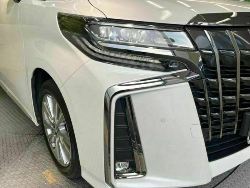 ALPHARD-13