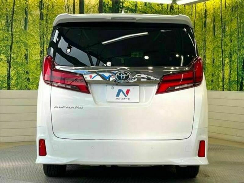 ALPHARD-16