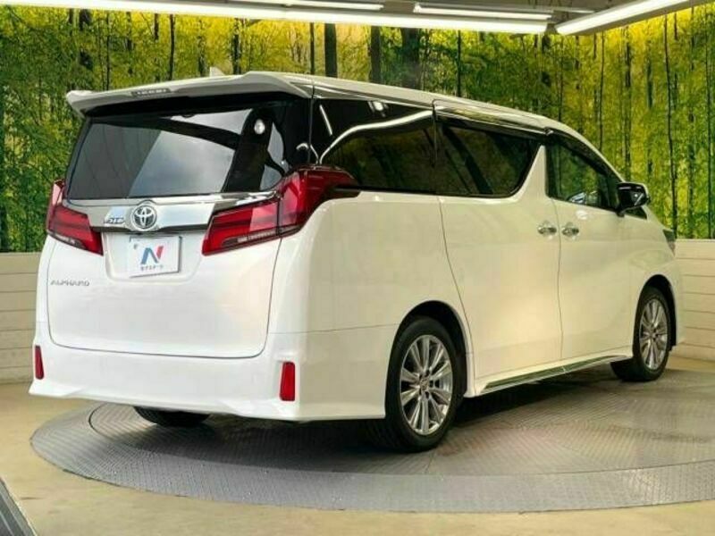 ALPHARD-18