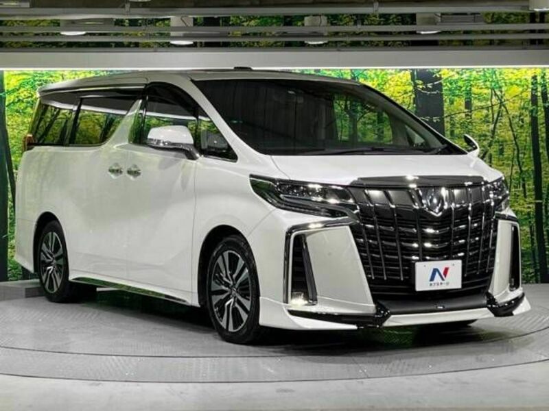 ALPHARD-17