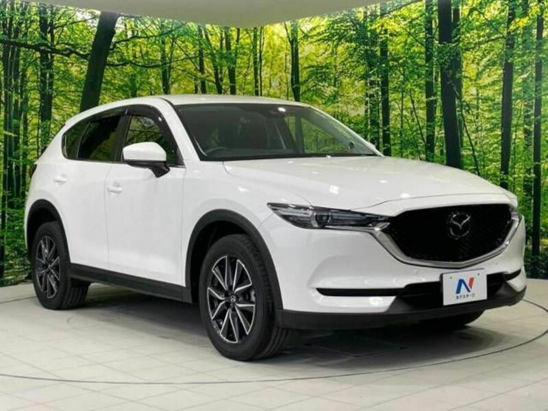 CX-5-16