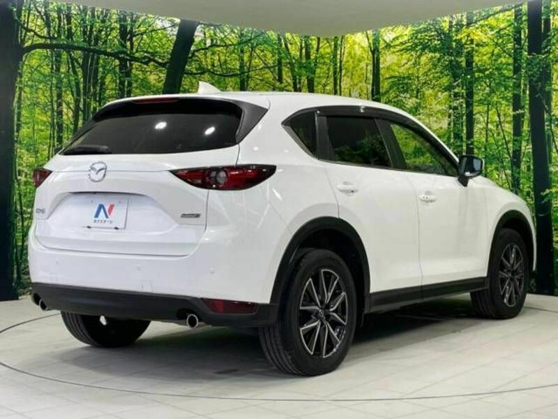 CX-5-17