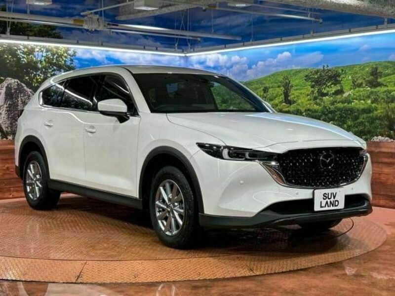 CX-8-16