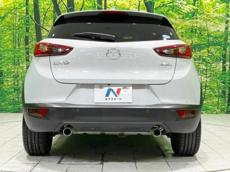 CX-3-15