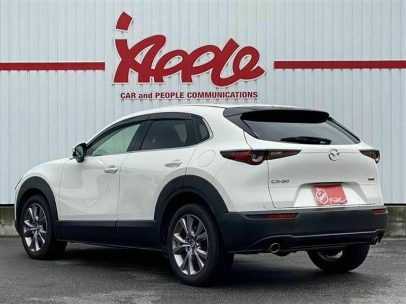 CX-30-1