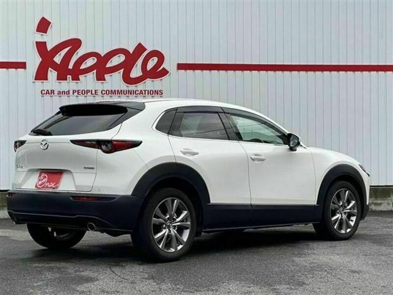 CX-30-3