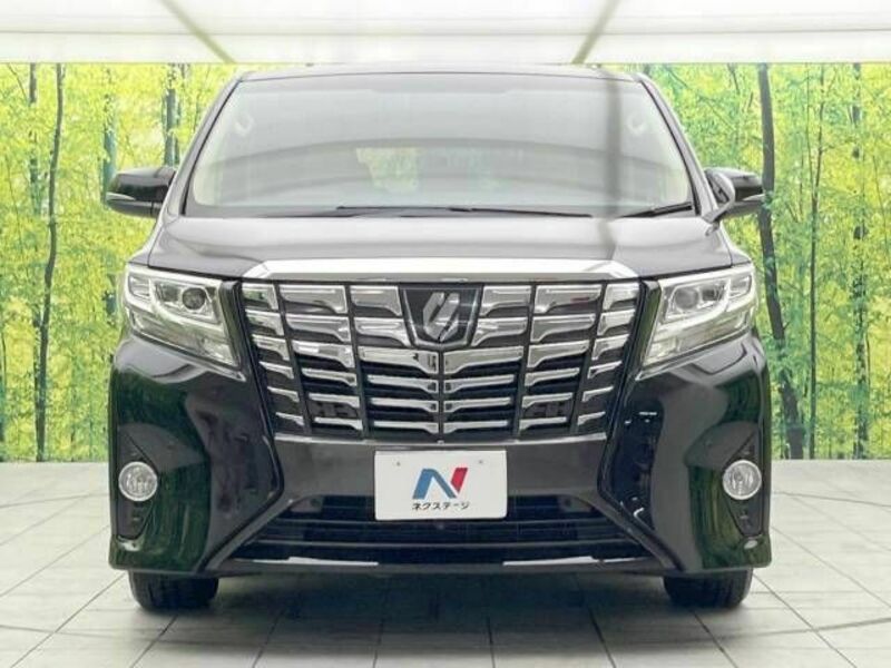 ALPHARD-15