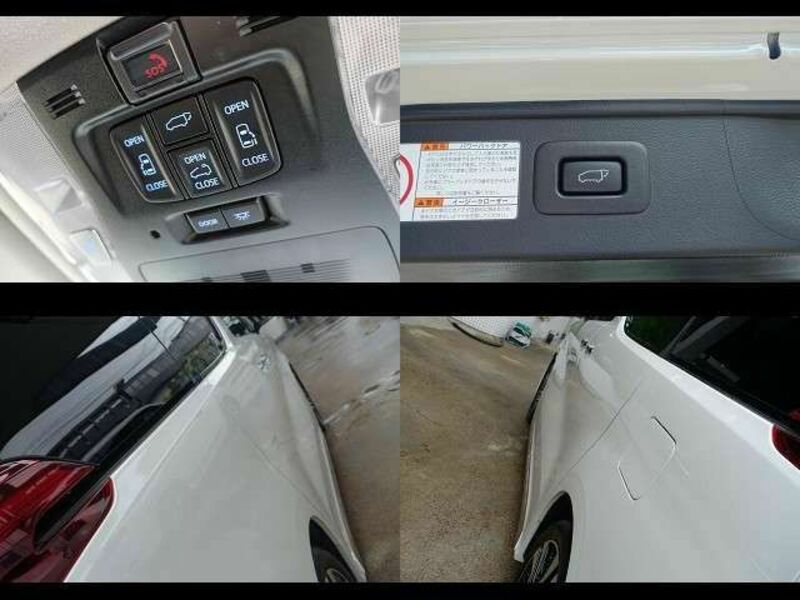 ALPHARD-12