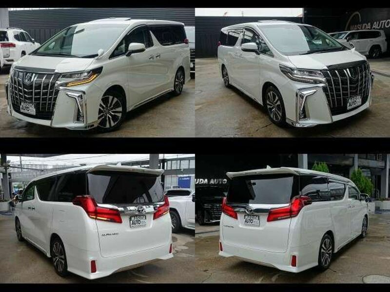 ALPHARD-16