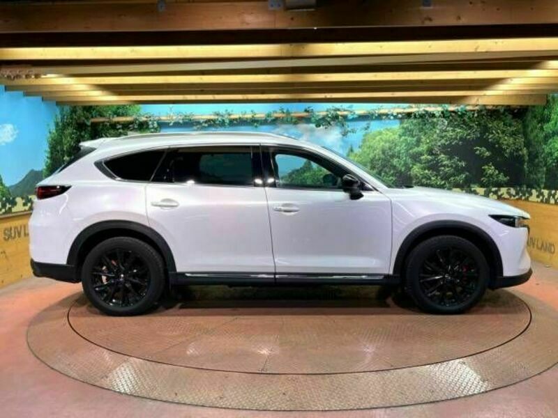 CX-8-17