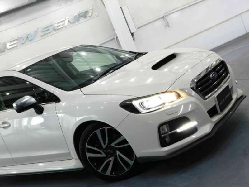 LEVORG-3