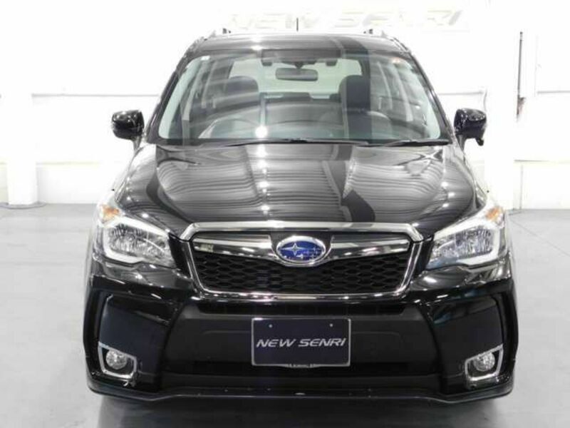 FORESTER-5