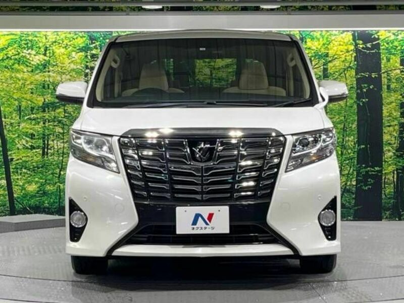 ALPHARD-15