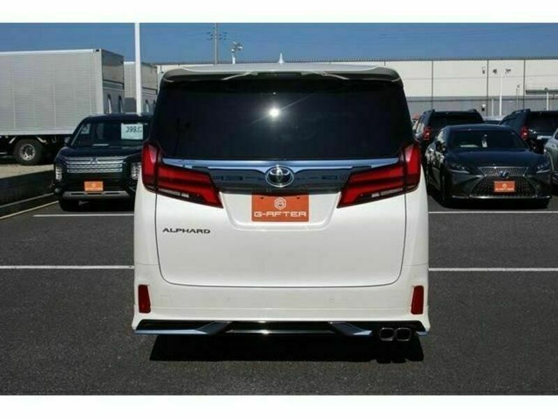 ALPHARD-10