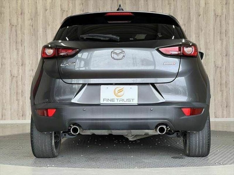 CX-3-18