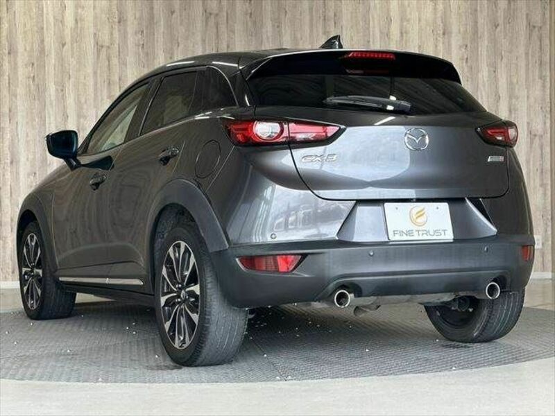 CX-3-19