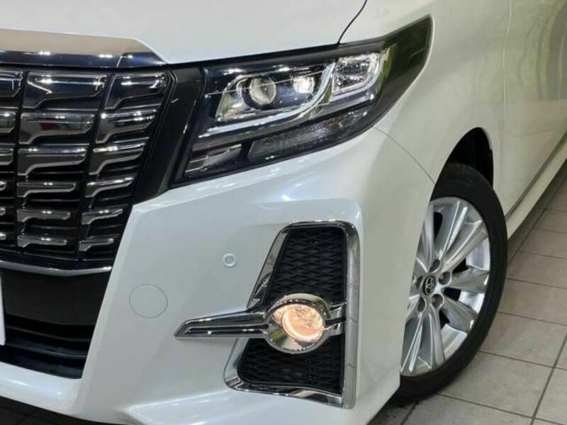 ALPHARD-13