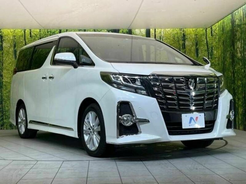 ALPHARD-17