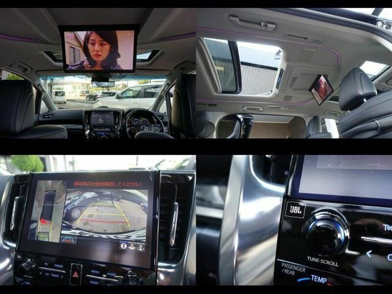 ALPHARD-49