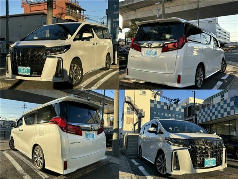 ALPHARD-3