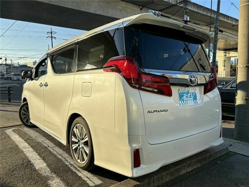 ALPHARD-10