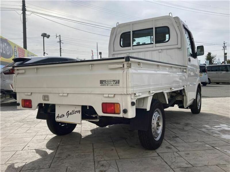 CARRY TRUCK-9