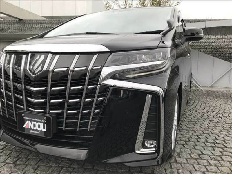 ALPHARD-7