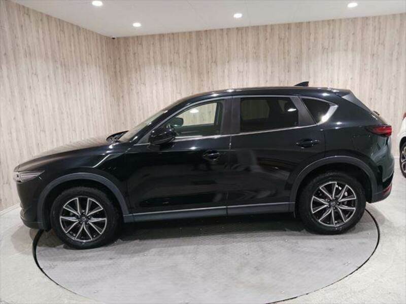 CX-5-19