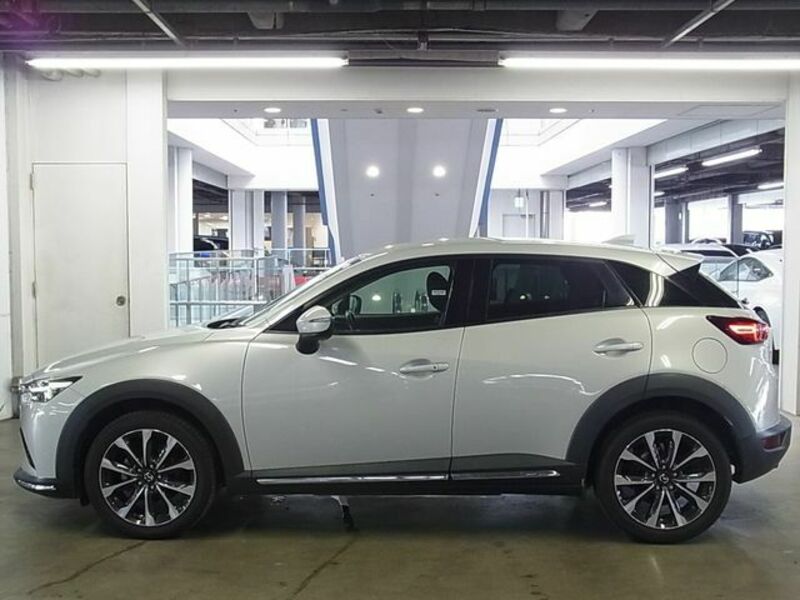 CX-3-8