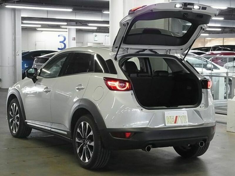 CX-3-13