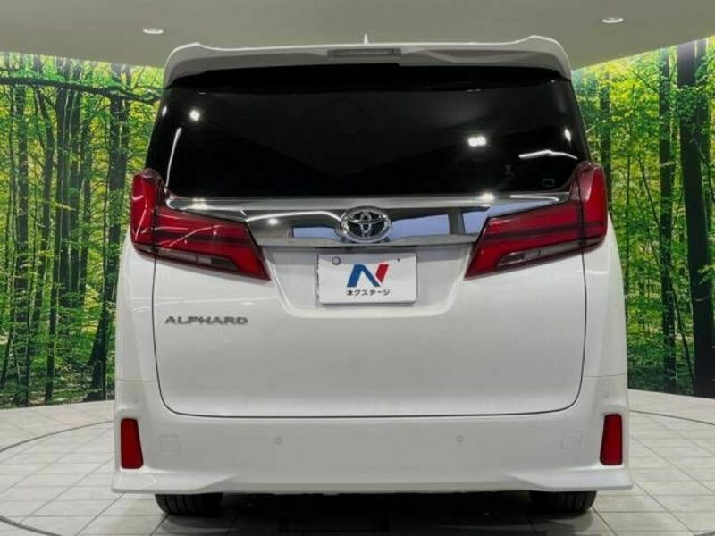 ALPHARD-16