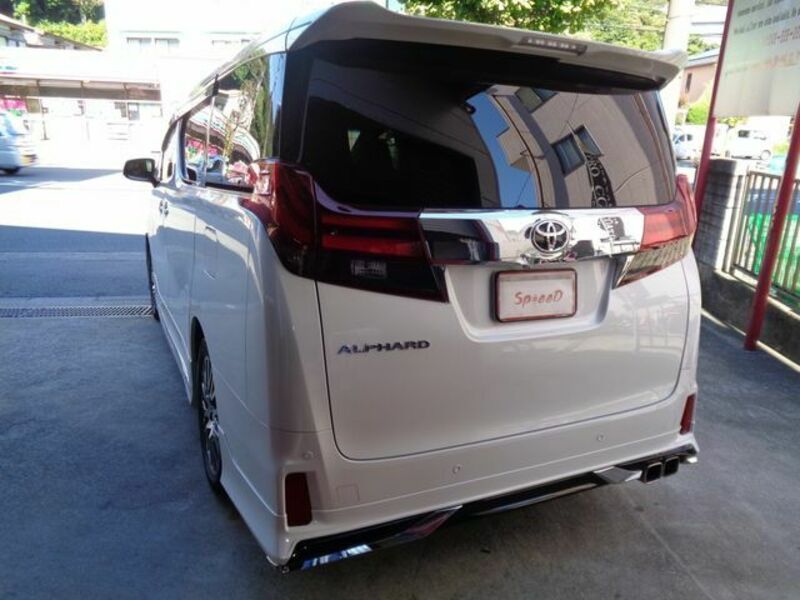 ALPHARD-3