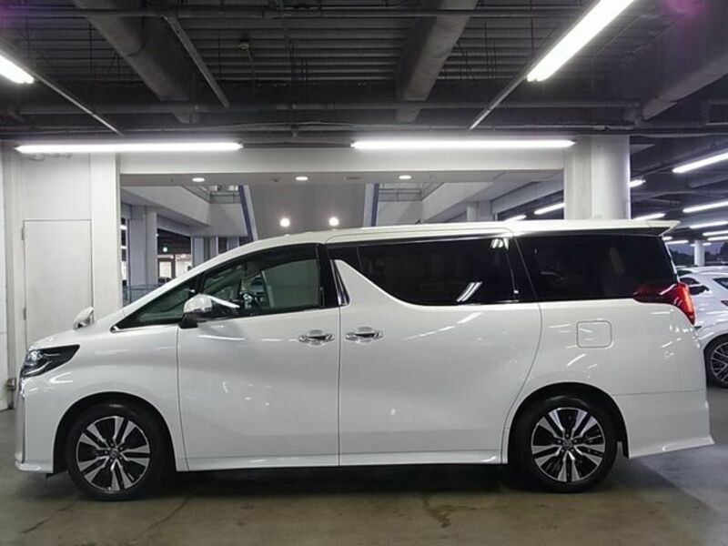 ALPHARD-8