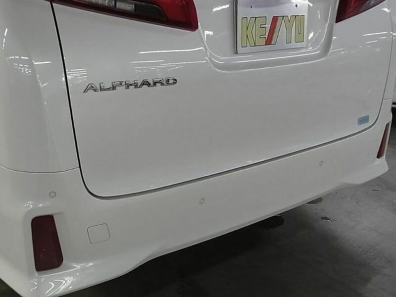 ALPHARD-29