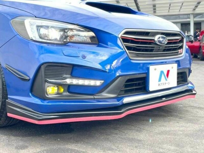 LEVORG-2