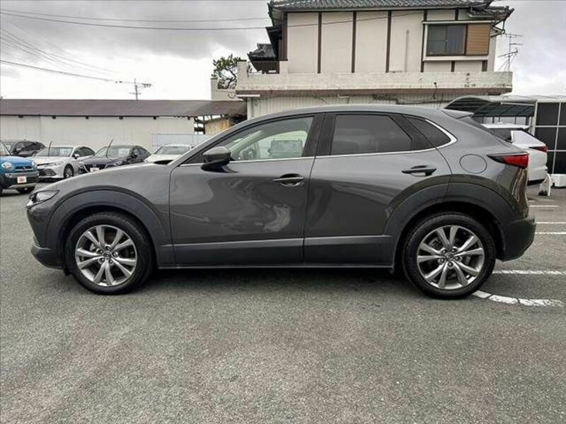 CX-30-10