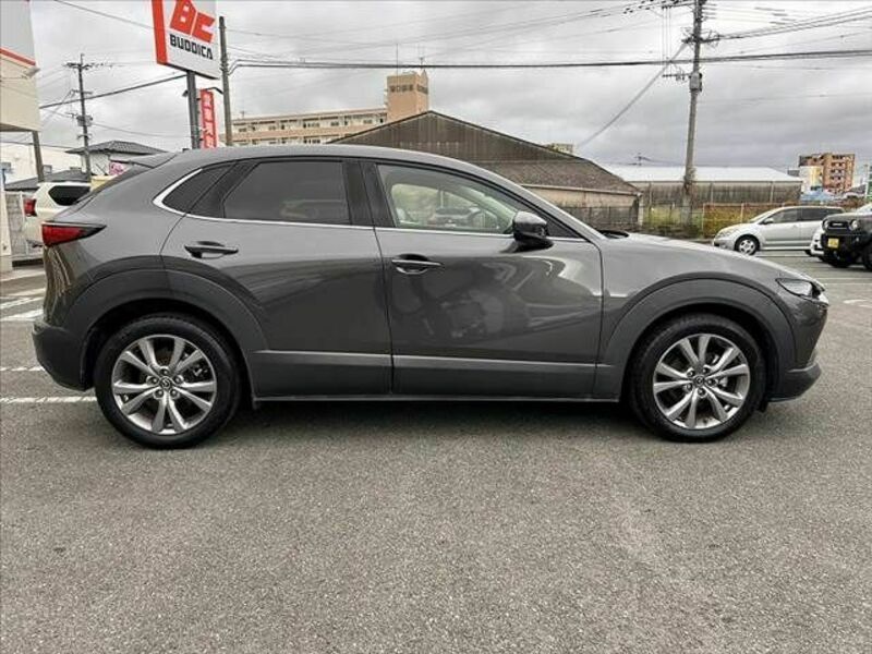 CX-30-11