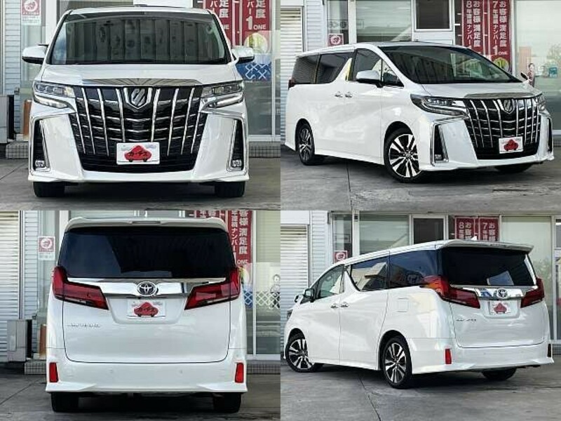 ALPHARD-8