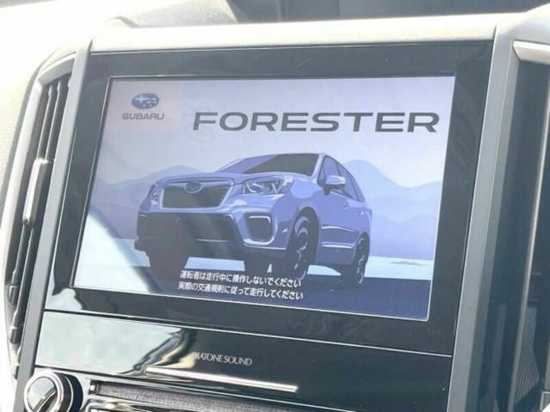 FORESTER-8