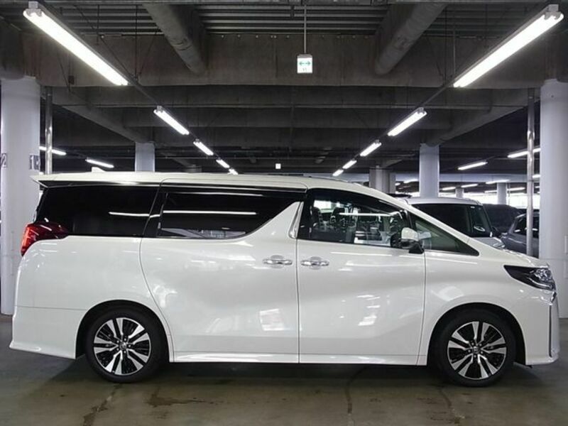 ALPHARD-7