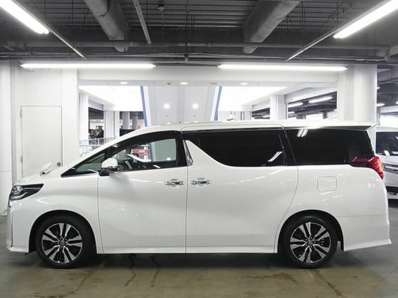 ALPHARD-8