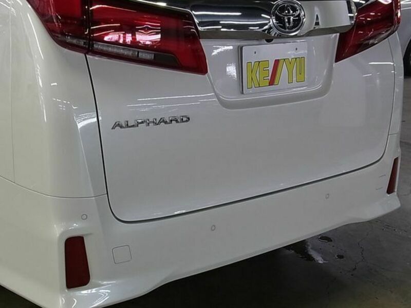 ALPHARD-28