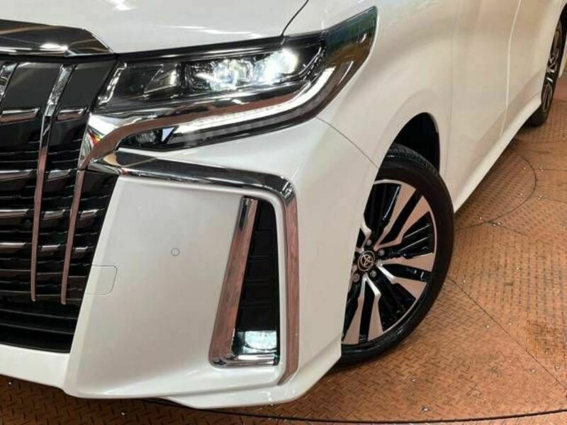 ALPHARD-14