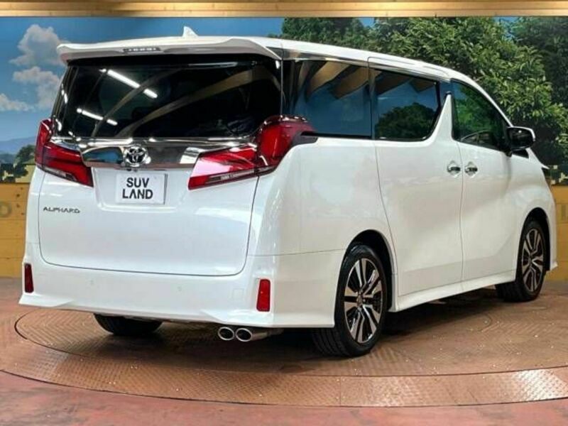 ALPHARD-18