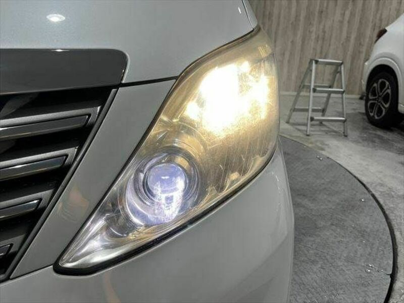 ALPHARD-12