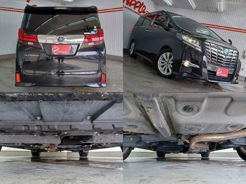 ALPHARD-4