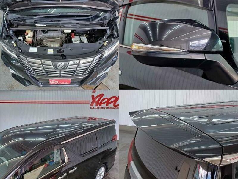 ALPHARD-5