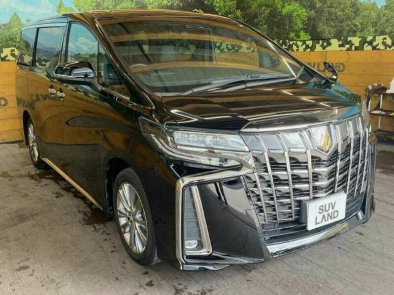 ALPHARD-16