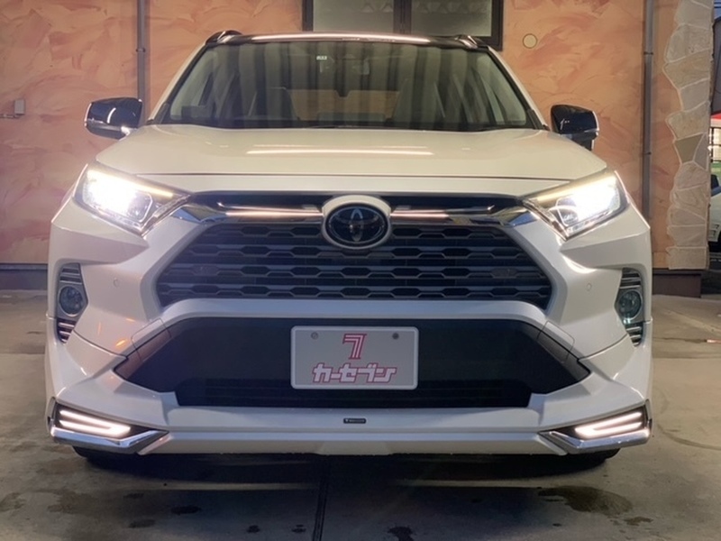 RAV4-1